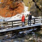 Yoga-Tage, Nov.23, Pension Fohlenhof, St.Ulrich, Pillerseetal, Tirol 