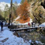 Yoga-Tage, Nov.23, Pension Fohlenhof, St.Ulrich, Pillerseetal, Tirol 