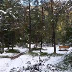 Yoga-Tage, Nov.23, Pension Fohlenhof, St.Ulrich, Pillerseetal, Tirol 