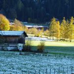 Yoga-Tage, Nov.23, Pension Fohlenhof, St.Ulrich, Pillerseetal, Tirol 