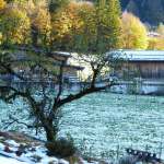 Yoga-Tage, Nov.23, Pension Fohlenhof, St.Ulrich, Pillerseetal, Tirol 