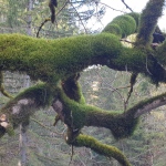 Yoga-Tage - in Tirol - Nov.2024 mit Robert Spieß