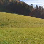 Yoga-Tage - in Tirol - Nov.2024 mit Robert Spieß