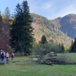 Yoga-Tage - in Tirol - Nov.2024 mit Robert Spieß