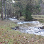 Yoga-Tage - in Tirol - Nov.2024 mit Robert Spieß