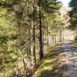 Yoga-Tage - in Tirol - Nov.2024 mit Robert Spieß