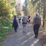 Yoga-Tage - in Tirol - Nov.2024 mit Robert Spieß