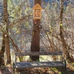 Yoga-Tage - in Tirol - Nov.2024 mit Robert Spieß