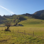 Yoga-Tage - in Tirol - Nov.2024 mit Robert Spieß